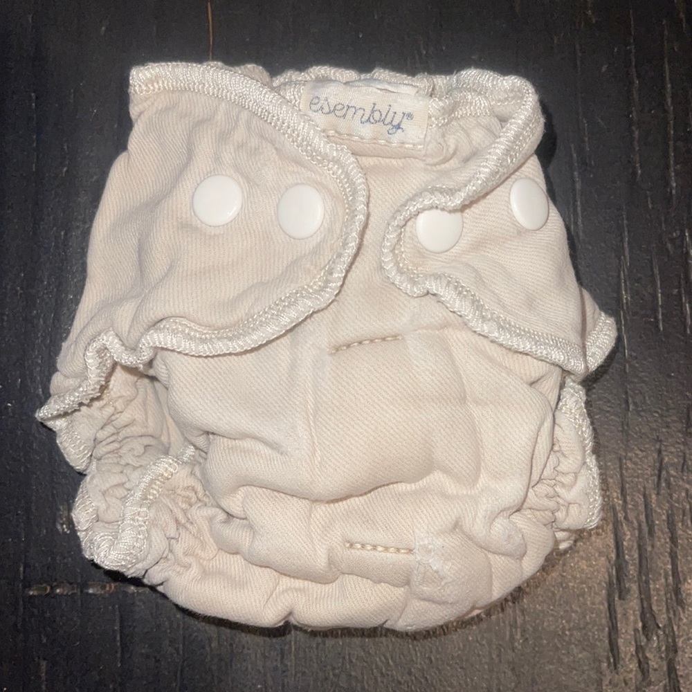 very used Esembly diaper inners ; still got some good life in them.